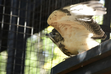 Similar image 21651631