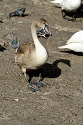 Similar image 21651632