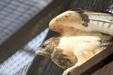 Similar image 21651633