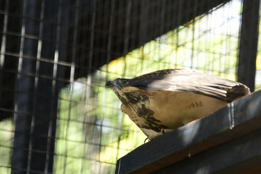 Similar image 21651634