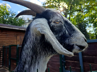 Similar image 21651635