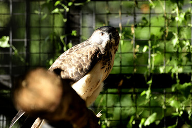 Similar image 21651637