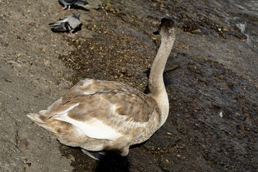 Similar image 21651638