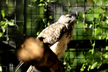 Similar image 21651640