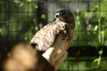 Similar image 21651642