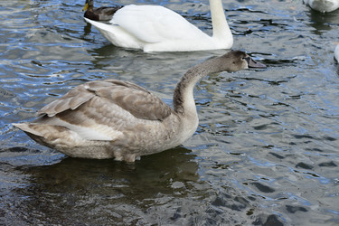 Similar image 21651643