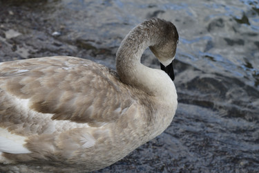 Similar image 21651644