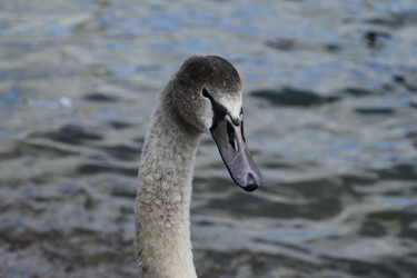 Similar image 21651645