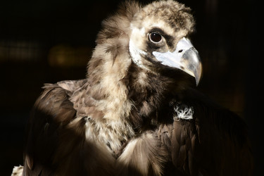 Similar image 21651646