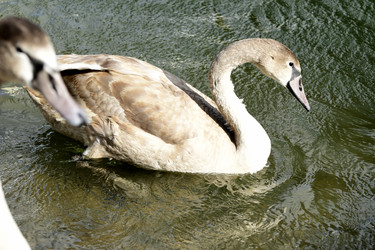 Similar image 21651647