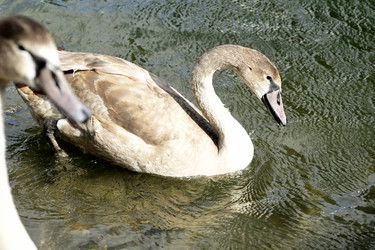 Similar image 21651648