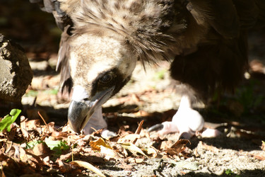 Similar image 21651649