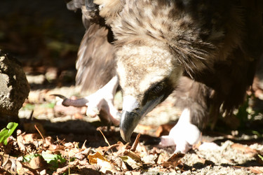 Similar image 21651650