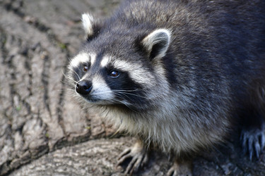 Similar image 21651828