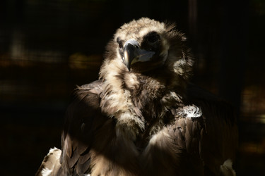 Similar image 21651829