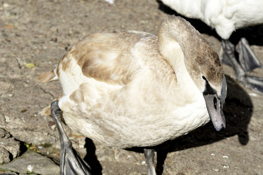 Similar image 21651830