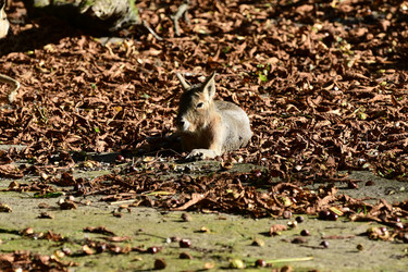 Similar image 21651831