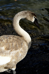 Similar image 21651832