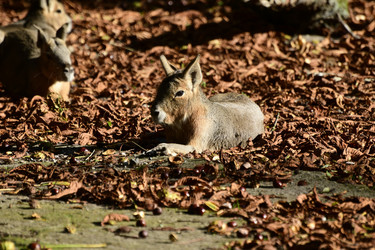 Similar image 21651833