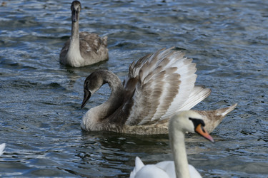 Similar image 21651836