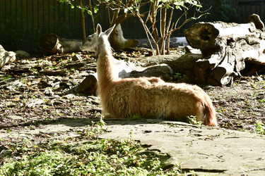 Similar image 21651837