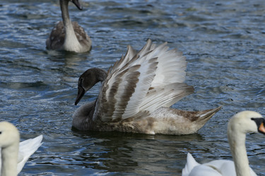 Similar image 21651838