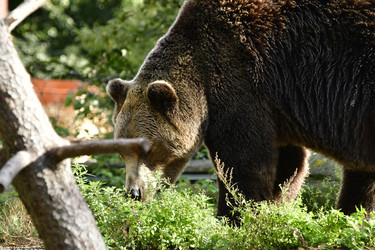 Similar image 21651839