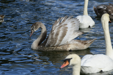 Similar image 21651840