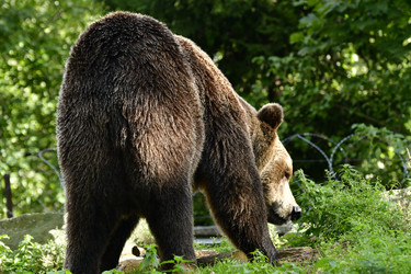 Similar image 21651842