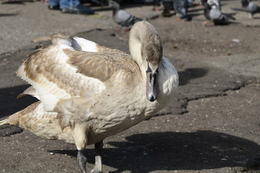 Similar image 21651843