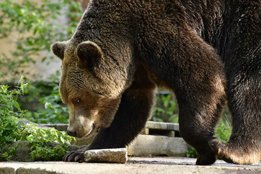 Similar image 21651844