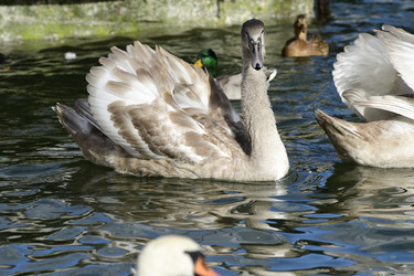 Similar image 21651845