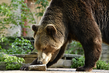 Similar image 21651846