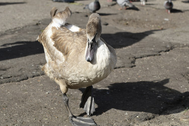 Similar image 21651847