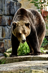 Similar image 21651848