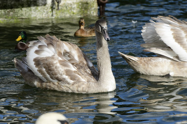 Similar image 21651941