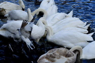 Similar image 21651942