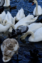 Similar image 21652109