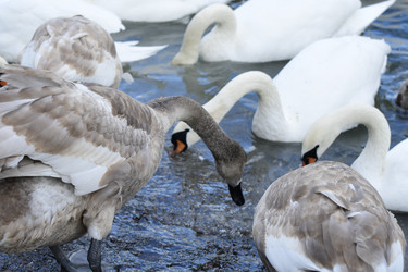 Similar image 21652111