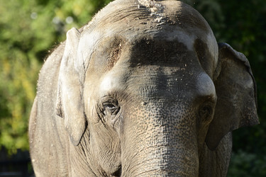 Similar image 21652113