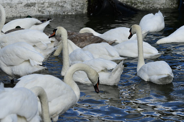 Similar image 21652114