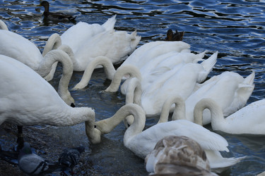 Similar image 21652116