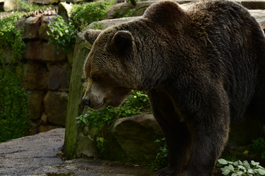 Similar image 21652117