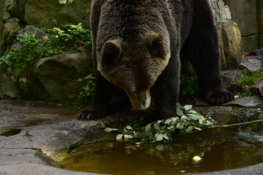 Similar image 21652119