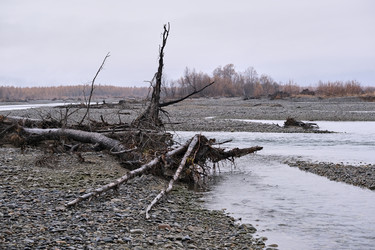 Similar image 21649314