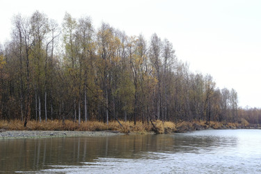 Similar image 21649315