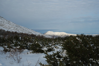 Similar image 21649317