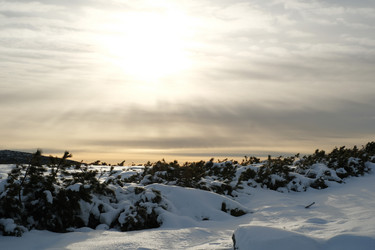 Similar image 21649318