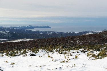 Similar image 21649319