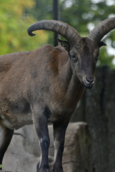 Similar image 21651651